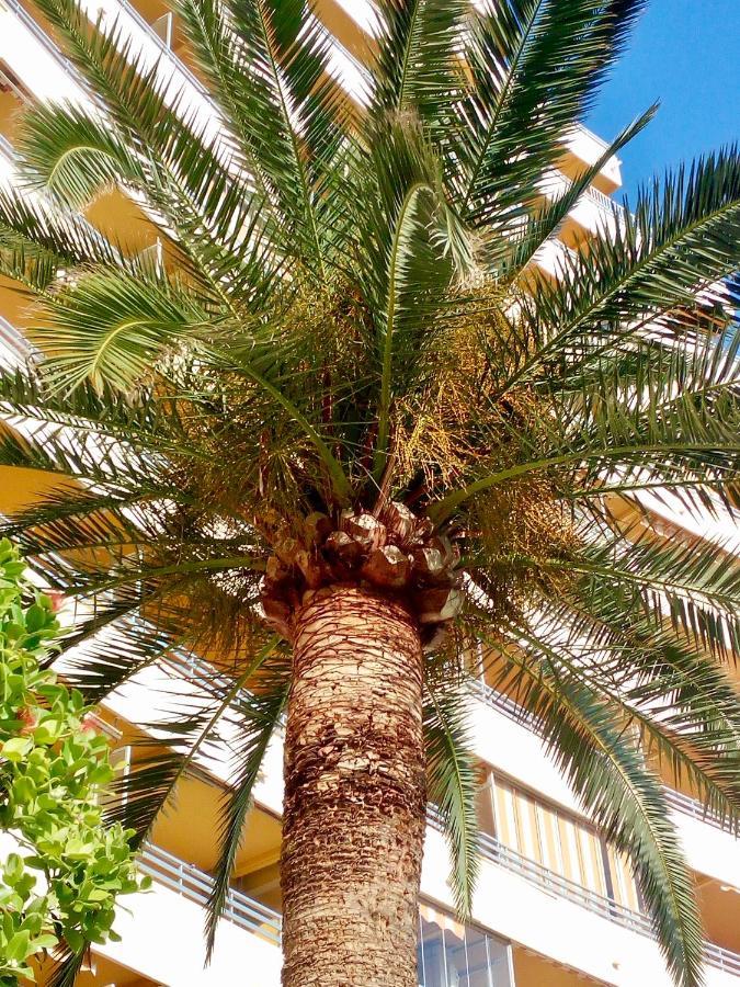 Appartamento Voramar Calpe Esterno foto